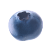 Icecream image